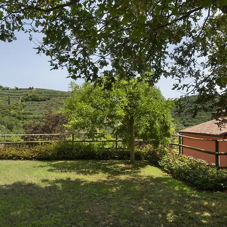 Villa Terrarossa With Pool In The Vineyard