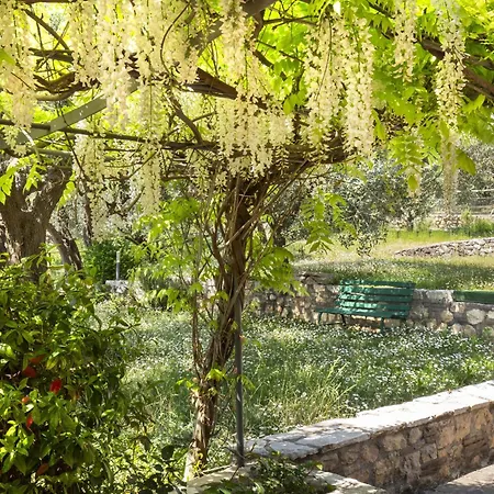 Villa Terrarossa With Pool In The Vineyard *